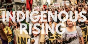 Read more about the article #IndigenousRisingDC Schedule / Events / Actions