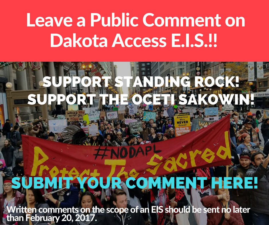 Read more about the article Leave a Public Comment for the DAPL E.I.S.!