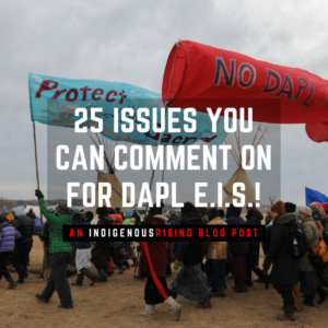 Read more about the article BLOG: 25 Issues You Can Comment On for the DAPL EIS!